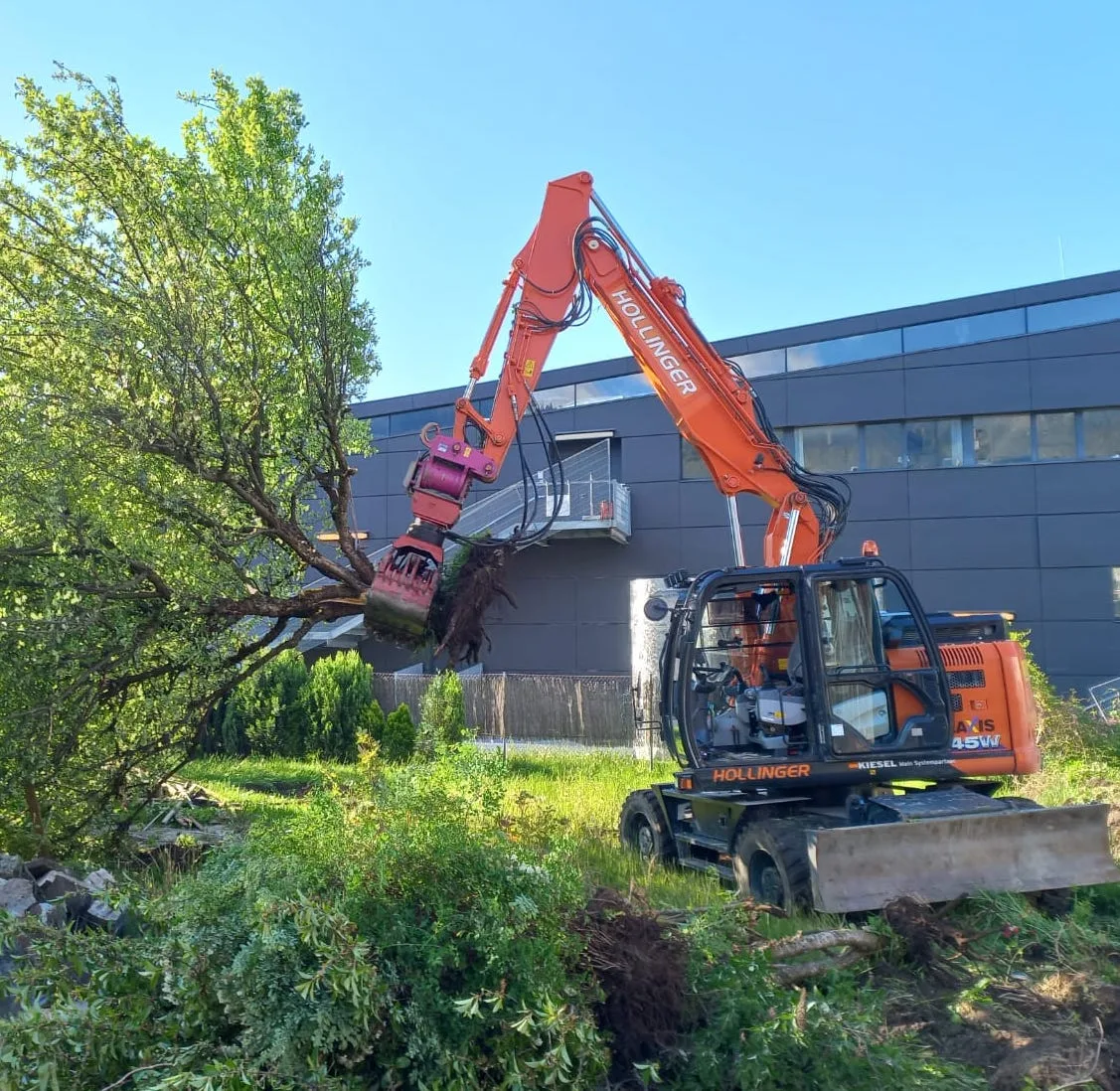 Beschrifteter Bagger von Erdbau-Hollinger bei einer Baumabtragung